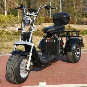 3 Wheel Three Speed Regulation Charge Power Mobility Scooter.