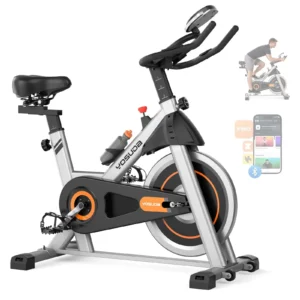 Exercise Bike, Brake Pad Stationary Bike for Home.